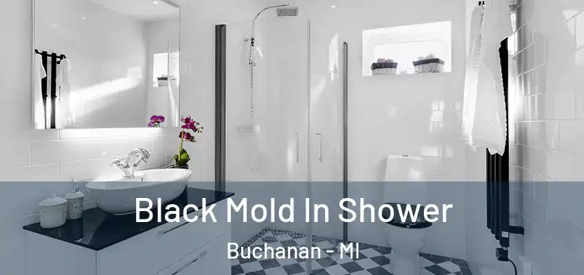  Black Mold In Shower Buchanan - MI