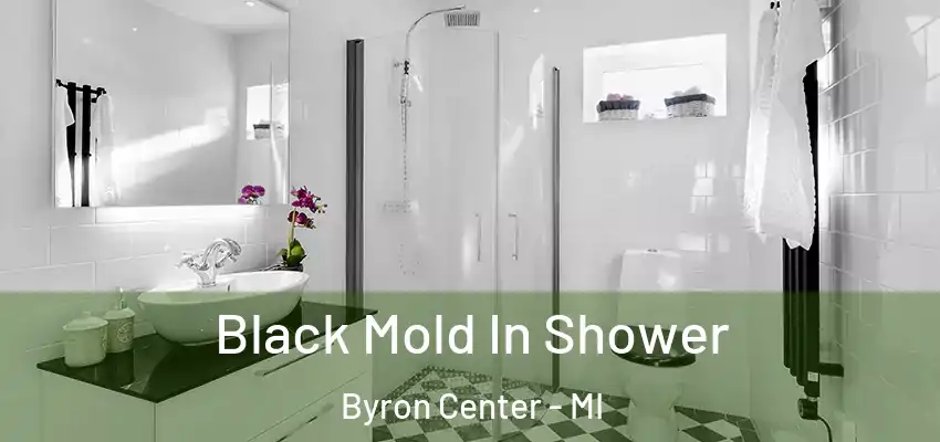  Black Mold In Shower Byron Center - MI
