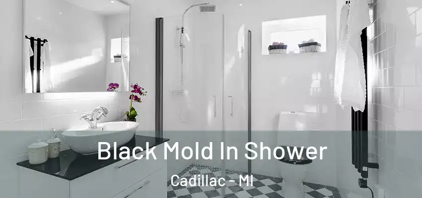  Black Mold In Shower Cadillac - MI
