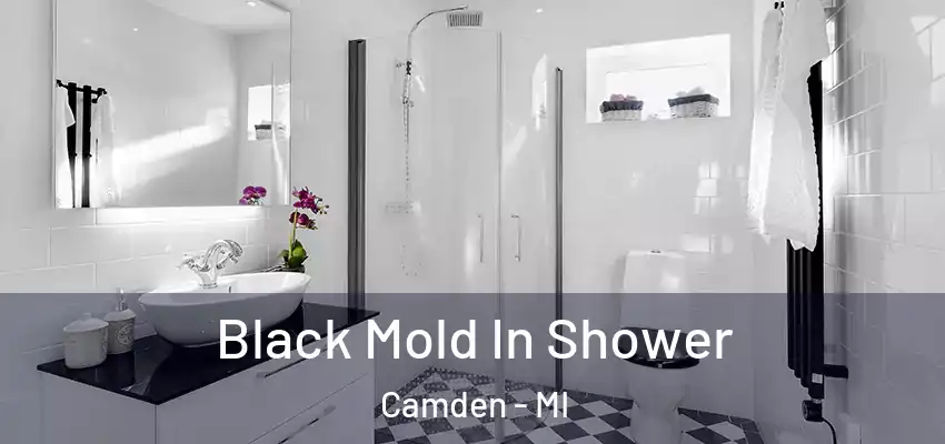  Black Mold In Shower Camden - MI