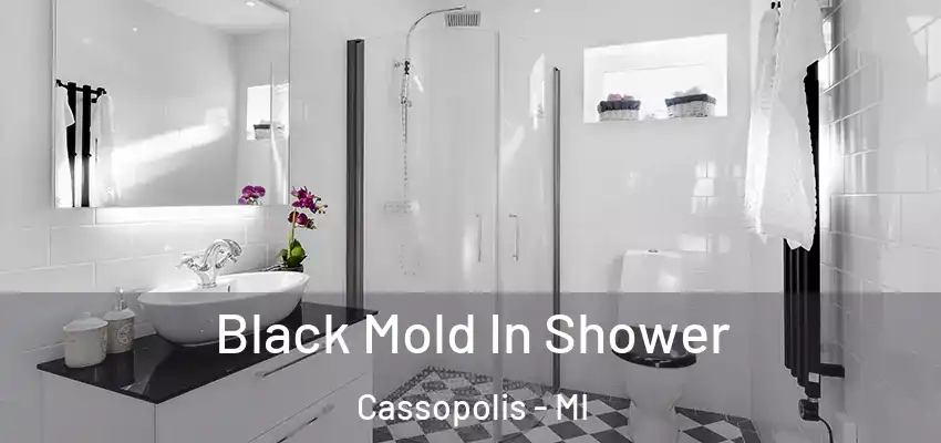  Black Mold In Shower Cassopolis - MI