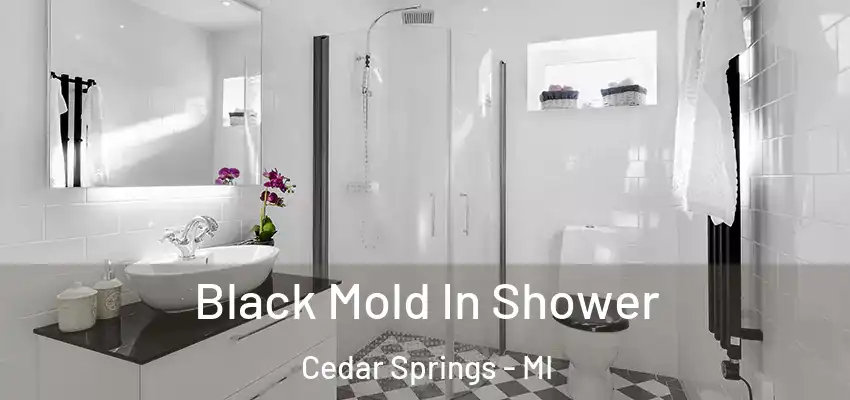  Black Mold In Shower Cedar Springs - MI
