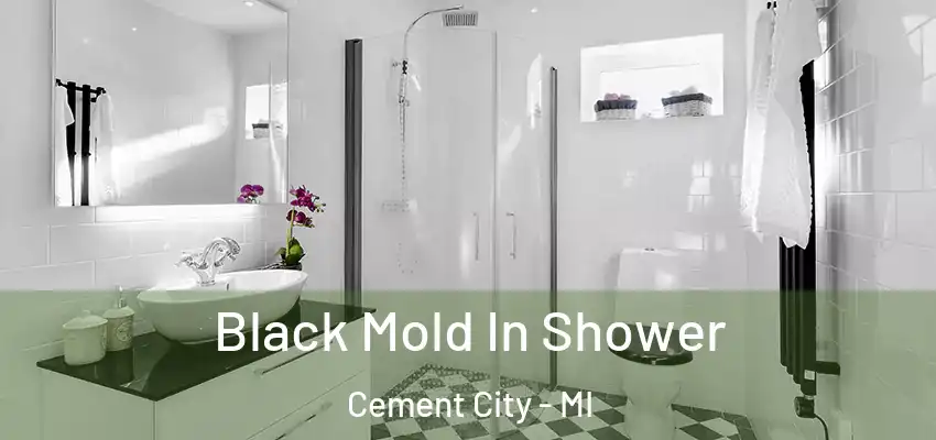  Black Mold In Shower Cement City - MI