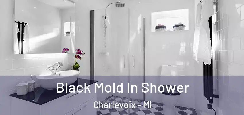  Black Mold In Shower Charlevoix - MI