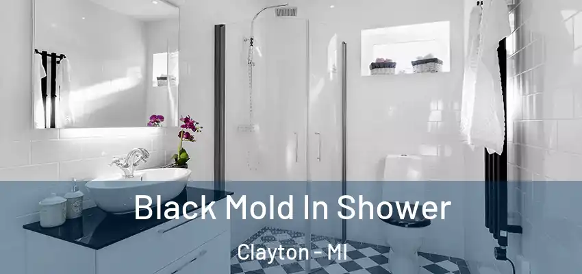  Black Mold In Shower Clayton - MI