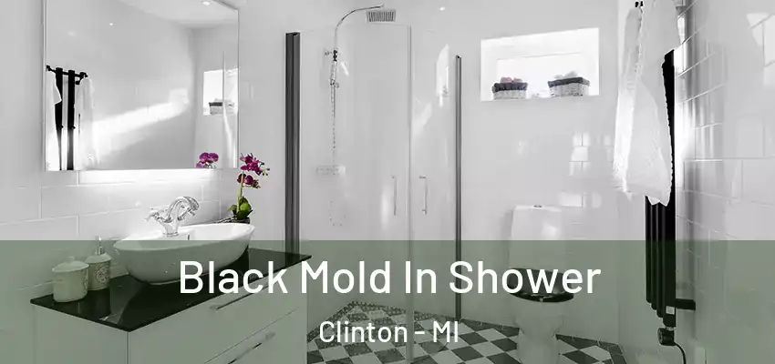  Black Mold In Shower Clinton - MI