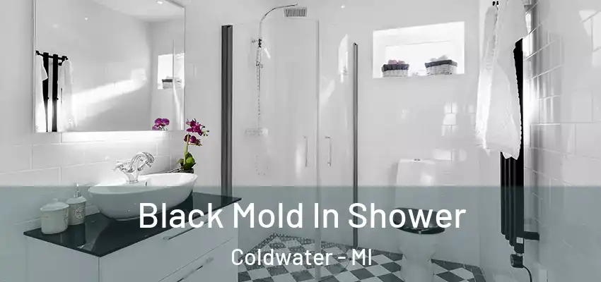  Black Mold In Shower Coldwater - MI