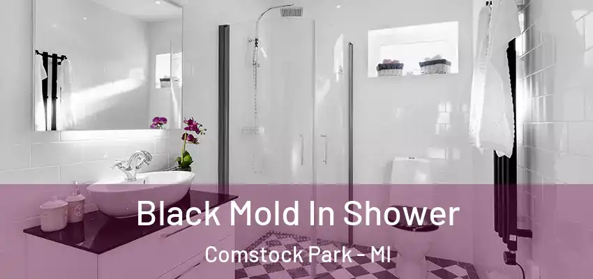  Black Mold In Shower Comstock Park - MI