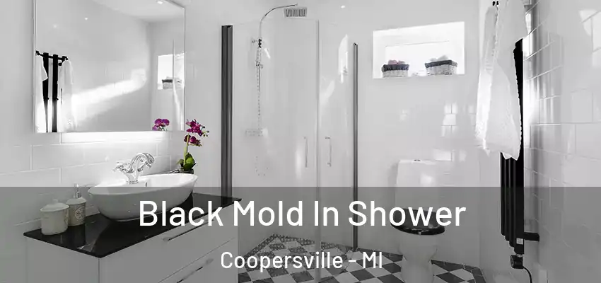  Black Mold In Shower Coopersville - MI