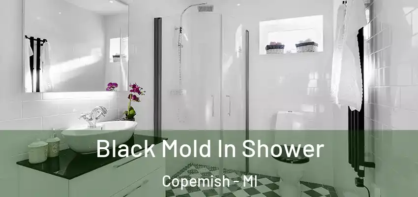  Black Mold In Shower Copemish - MI
