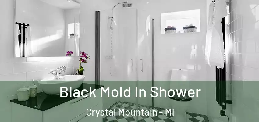  Black Mold In Shower Crystal Mountain - MI
