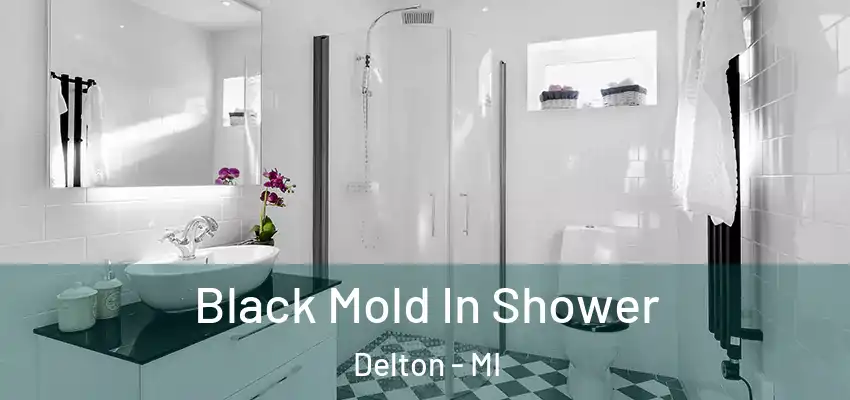  Black Mold In Shower Delton - MI