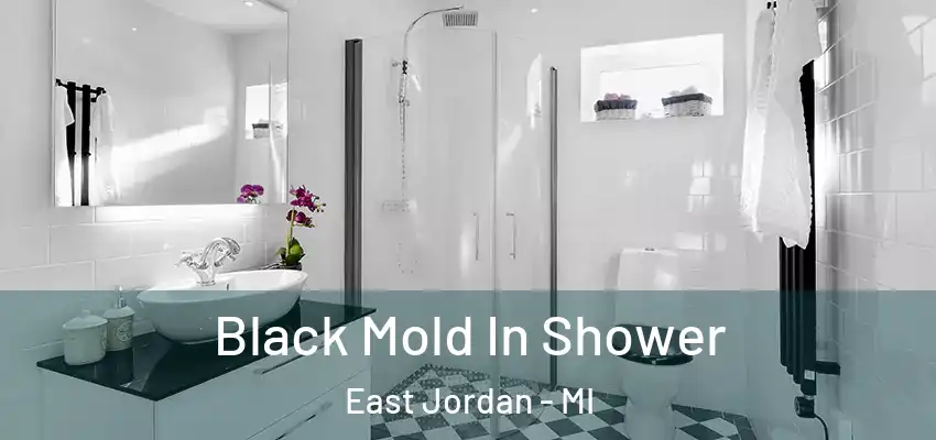  Black Mold In Shower East Jordan - MI