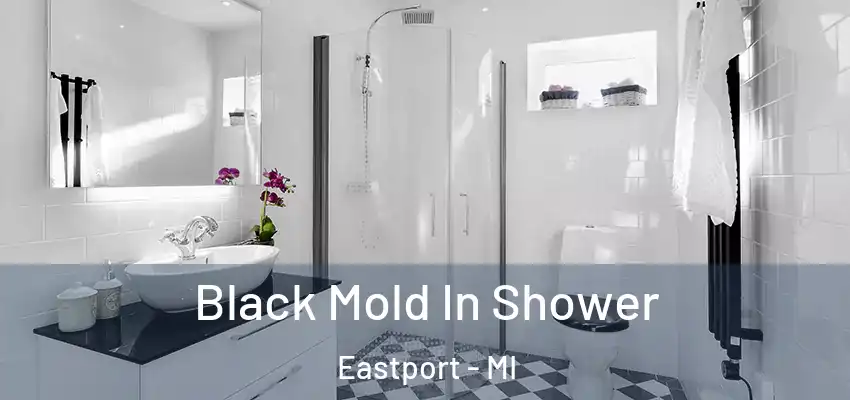 Black Mold In Shower Eastport - MI