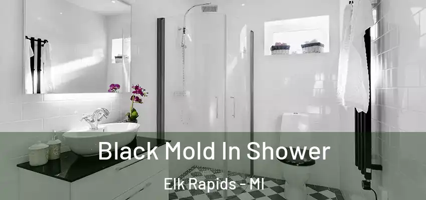  Black Mold In Shower Elk Rapids - MI