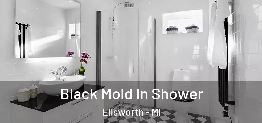  Black Mold In Shower Ellsworth - MI