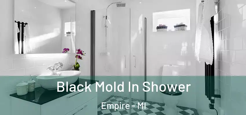  Black Mold In Shower Empire - MI