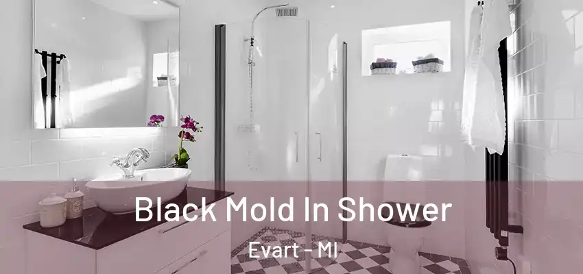  Black Mold In Shower Evart - MI
