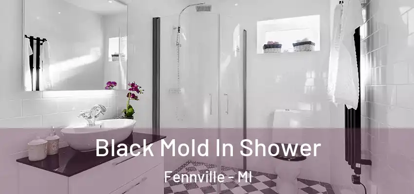  Black Mold In Shower Fennville - MI