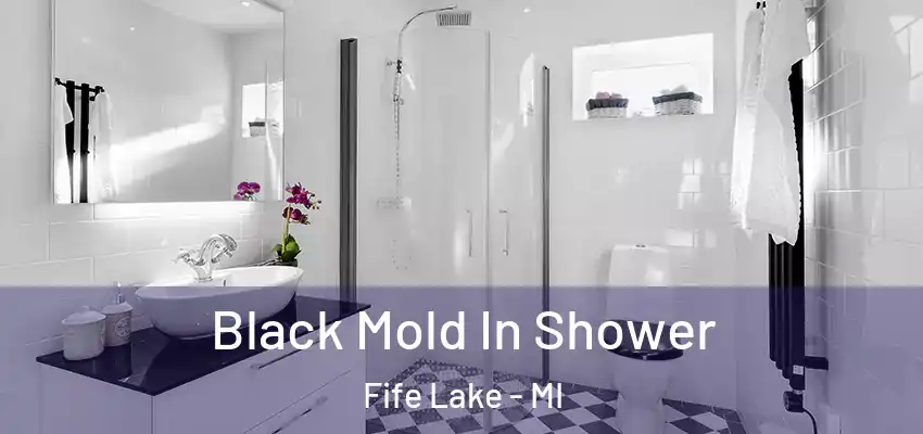  Black Mold In Shower Fife Lake - MI