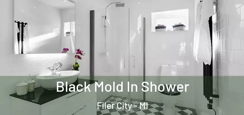  Black Mold In Shower Filer City - MI