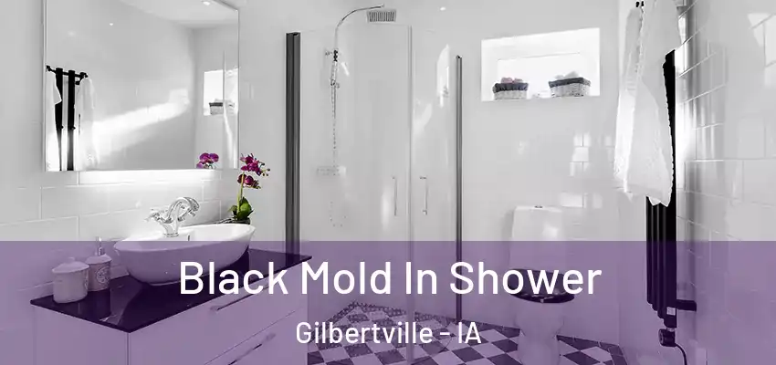 Black Mold In Shower Gilbertville - IA