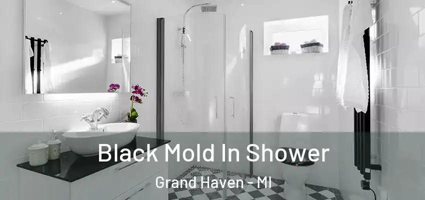  Black Mold In Shower Grand Haven - MI