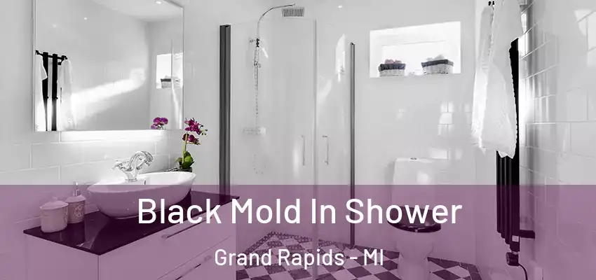  Black Mold In Shower Grand Rapids - MI