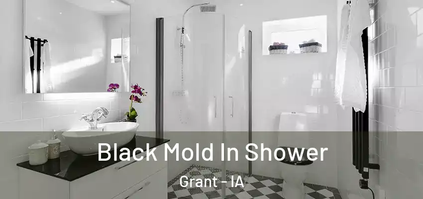  Black Mold In Shower Grant - IA