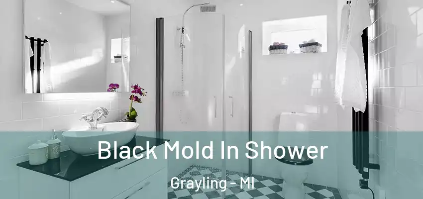  Black Mold In Shower Grayling - MI