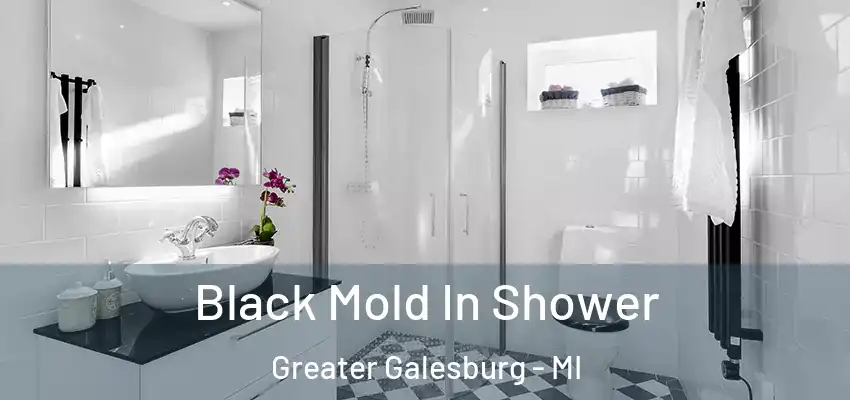  Black Mold In Shower Greater Galesburg - MI