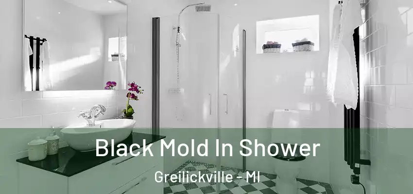 Black Mold In Shower Greilickville - MI