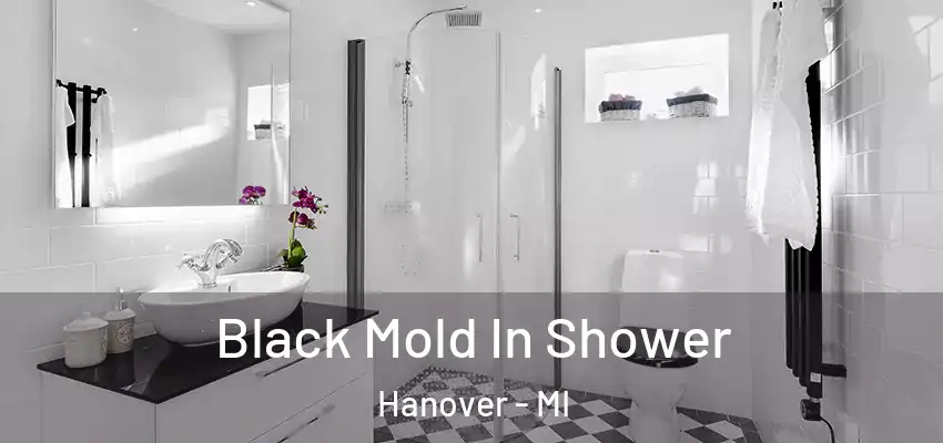  Black Mold In Shower Hanover - MI