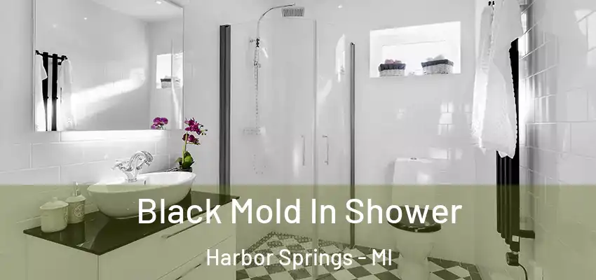 Black Mold In Shower Harbor Springs - MI