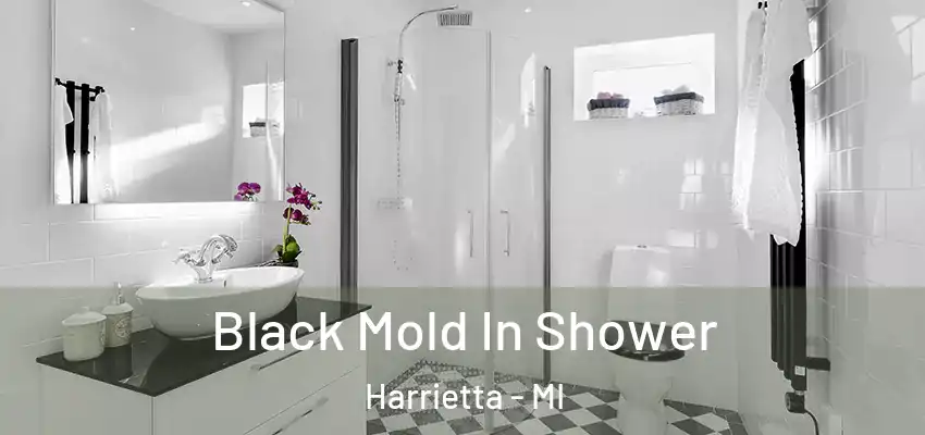  Black Mold In Shower Harrietta - MI