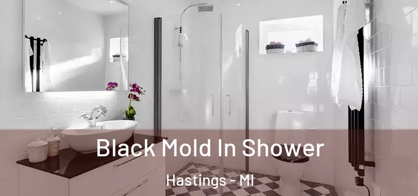 Black Mold In Shower Hastings - MI