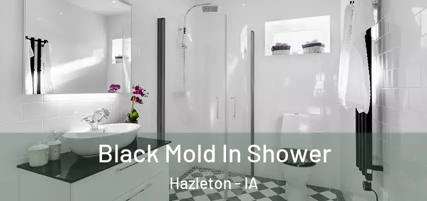  Black Mold In Shower Hazleton - IA