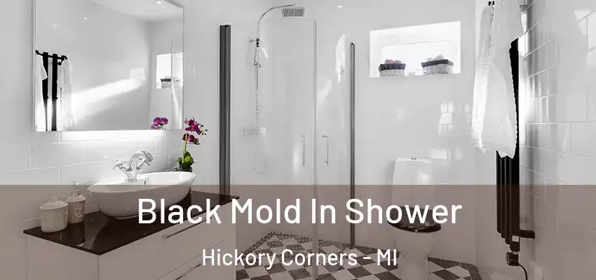 Black Mold In Shower Hickory Corners - MI
