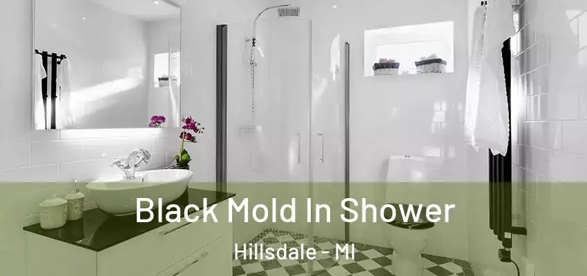 Black Mold In Shower Hillsdale - MI