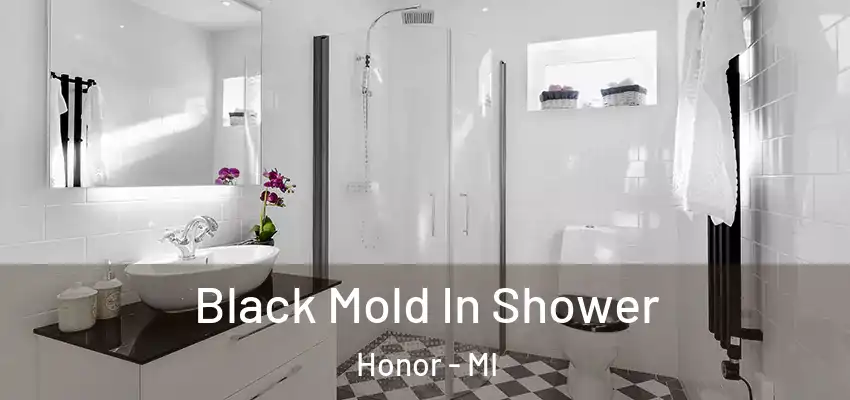  Black Mold In Shower Honor - MI