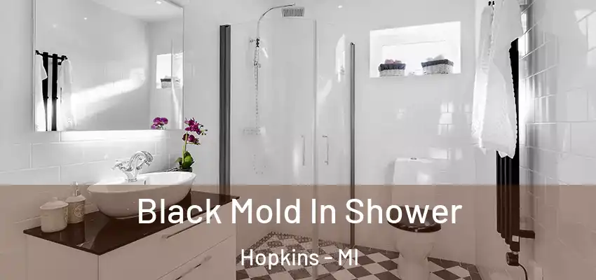 Black Mold In Shower Hopkins - MI