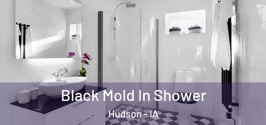  Black Mold In Shower Hudson - IA