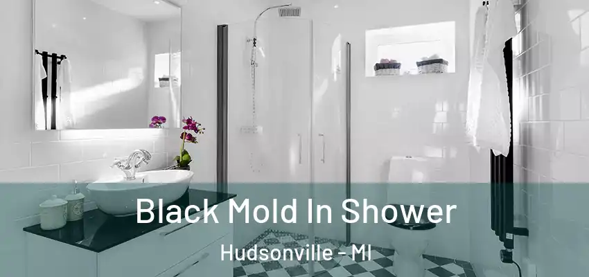  Black Mold In Shower Hudsonville - MI