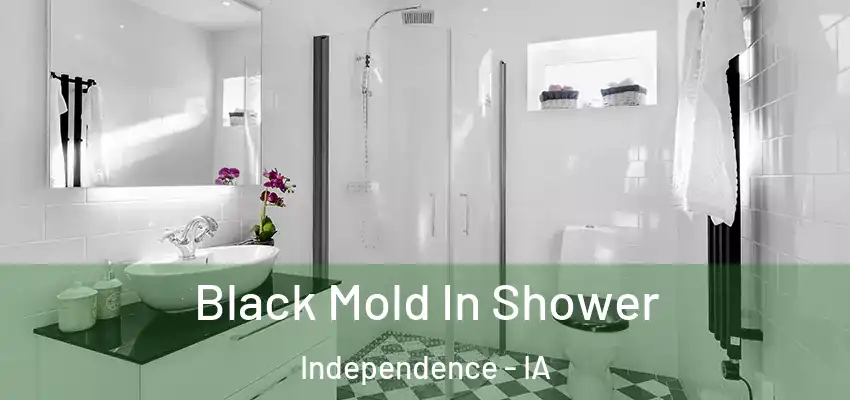  Black Mold In Shower Independence - IA