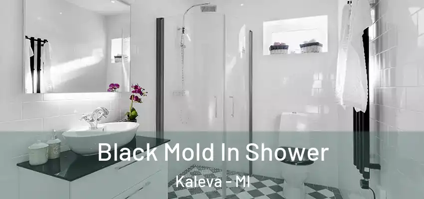  Black Mold In Shower Kaleva - MI