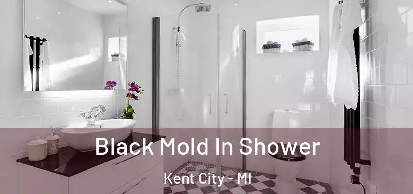  Black Mold In Shower Kent City - MI