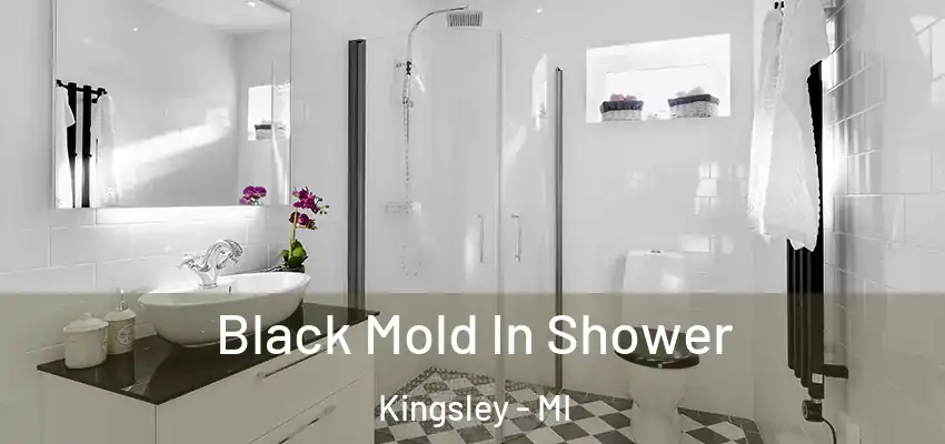 Black Mold In Shower Kingsley - MI