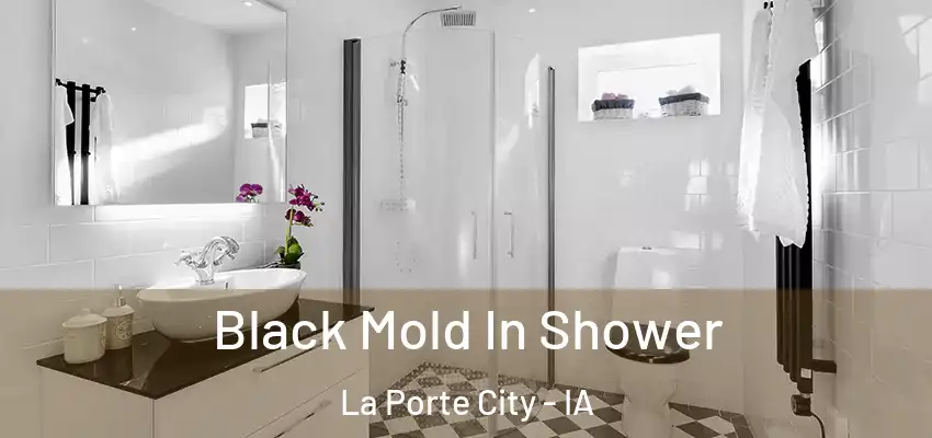  Black Mold In Shower La Porte City - IA