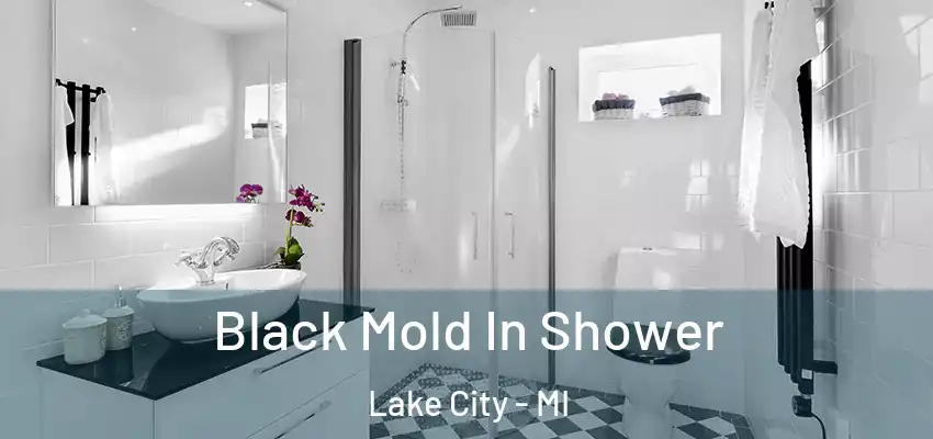 Black Mold In Shower Lake City - MI