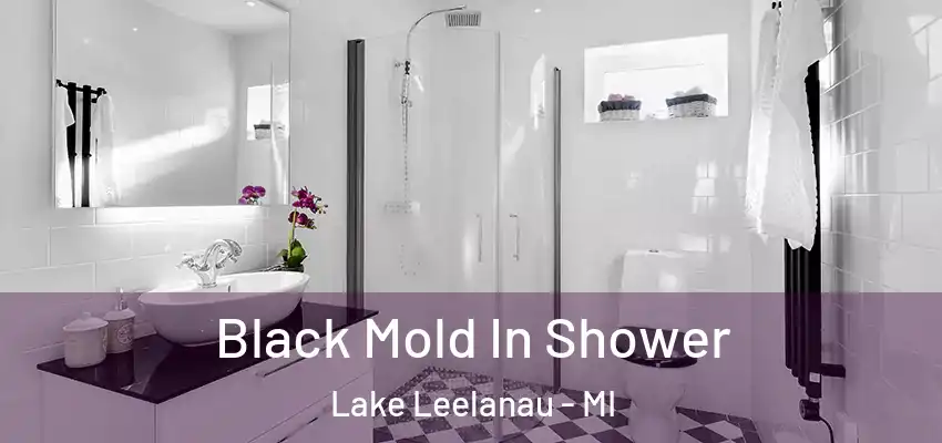  Black Mold In Shower Lake Leelanau - MI